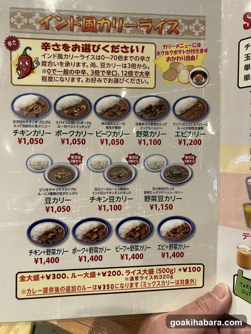 Indian Curry Rice Menu