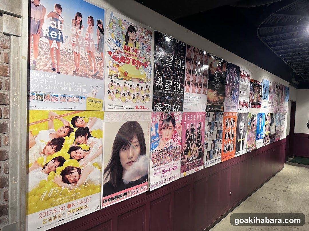AKB48 Poster Wall Display
