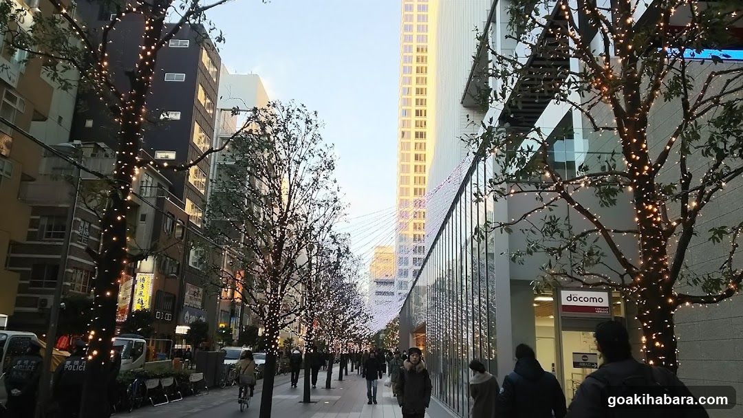 Street scene with illuminated trees and tall building