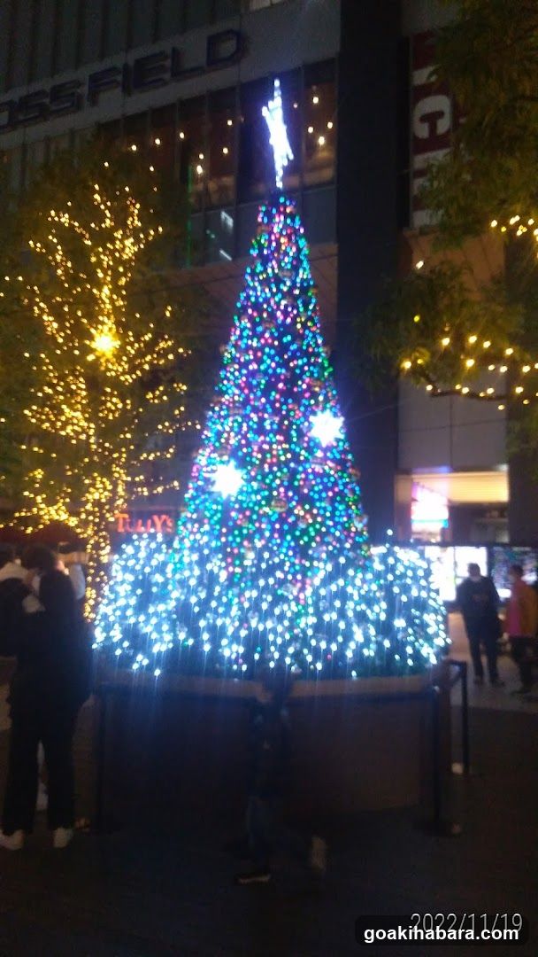 Christmas Tree Display at Crossfield