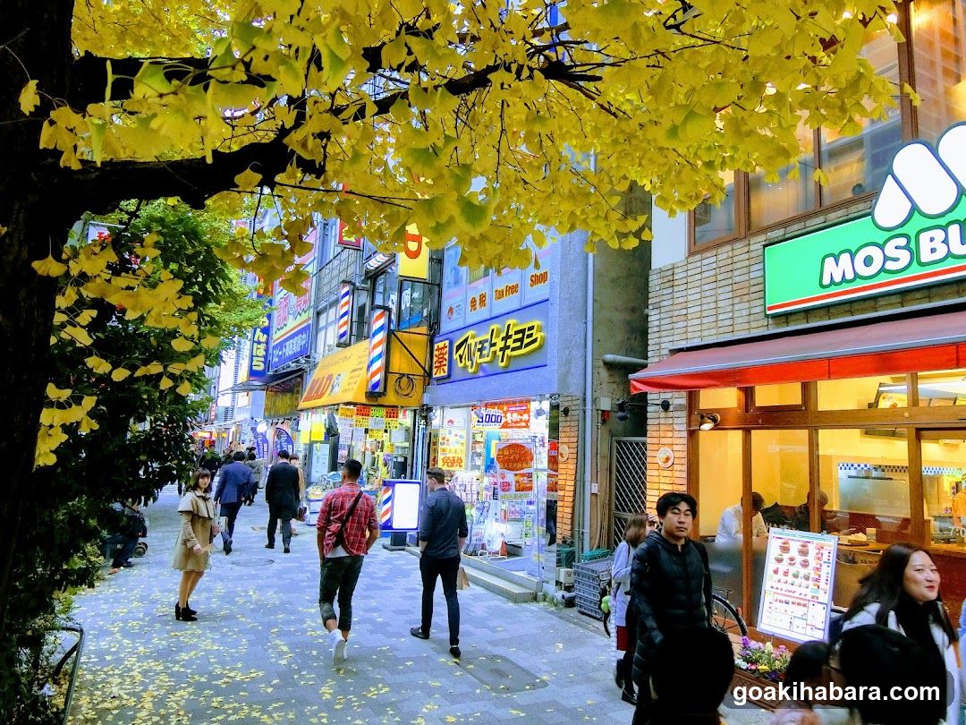 Autumn Street Scene with Yellow Leaves