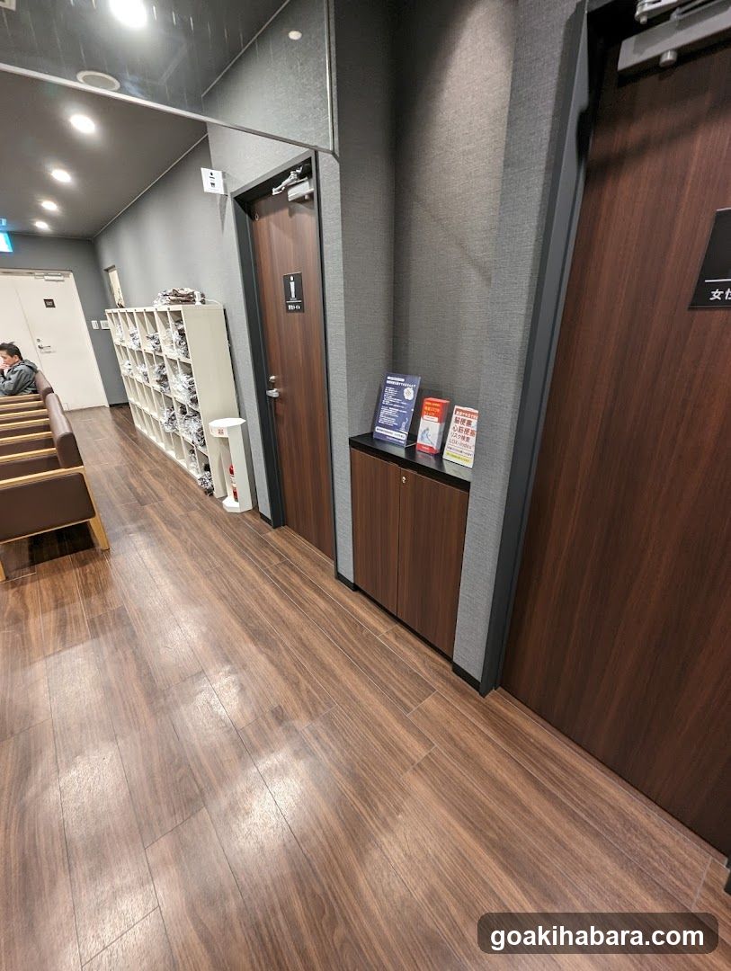Interior hallway with shoe rack and doors