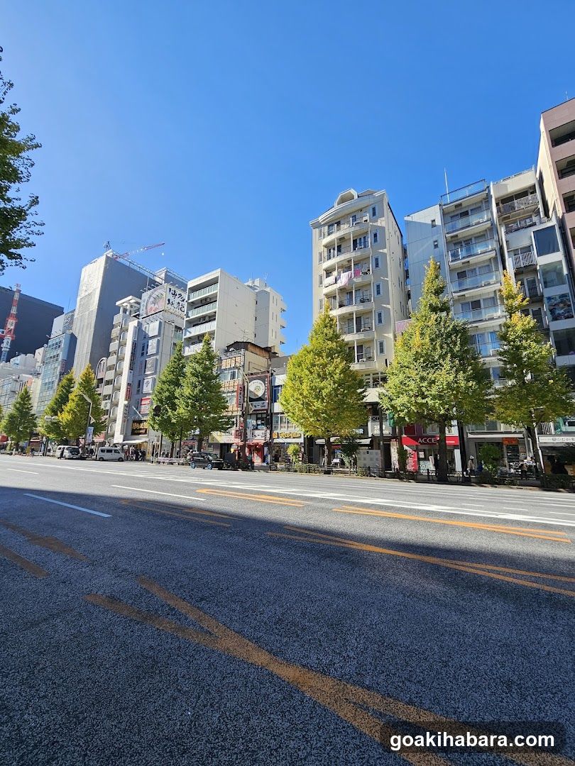 Urban Street Scene with Buildings and Trees