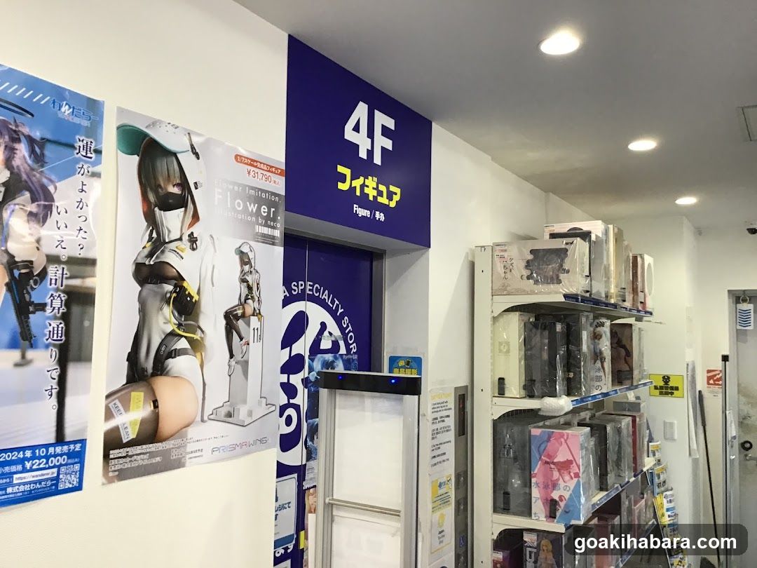 Anime Figure Store Interior