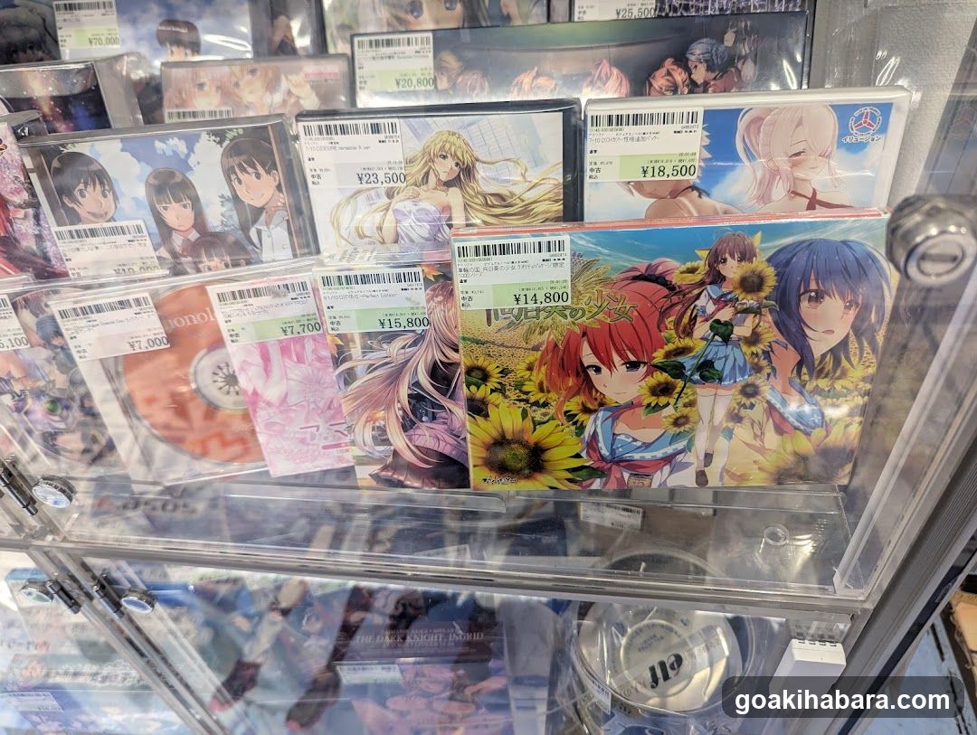 Anime Merchandise Display