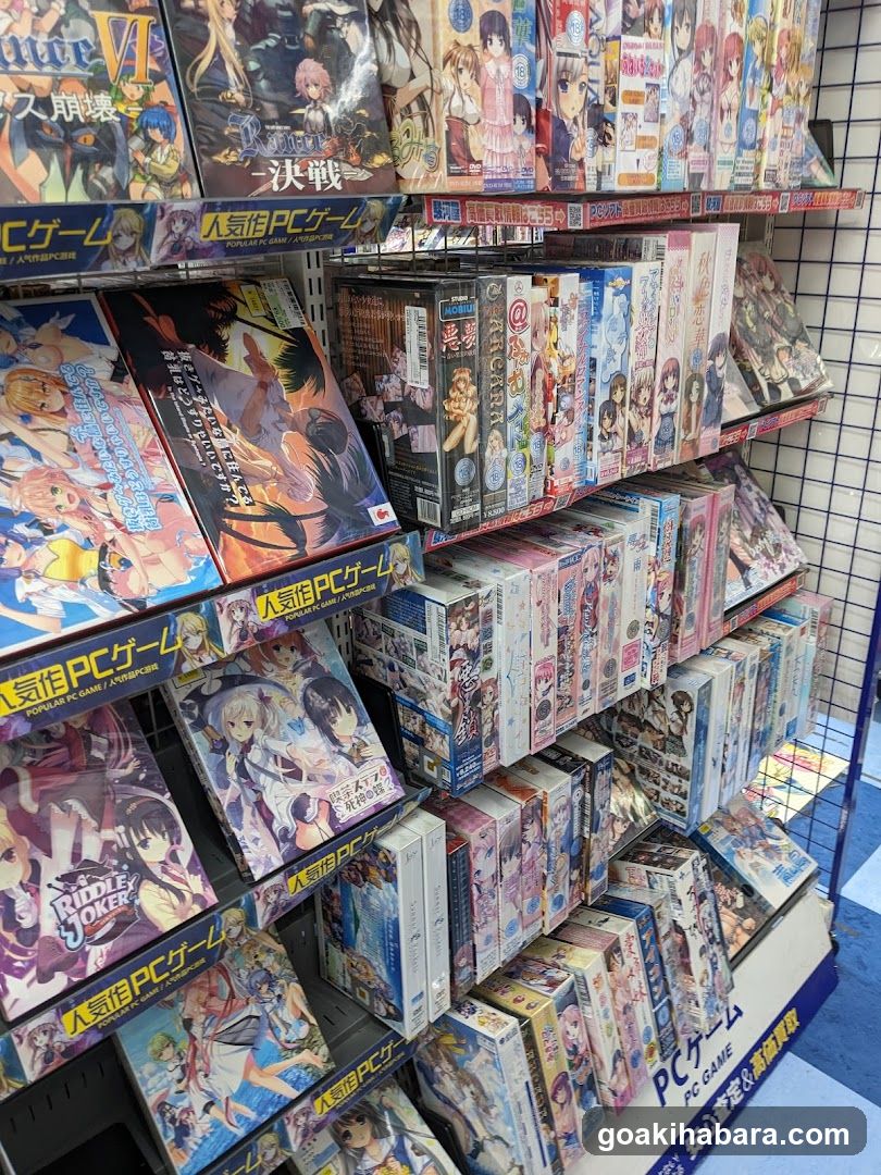 PC Game Display Shelf