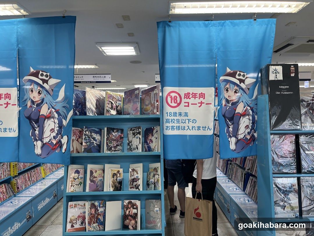 Anime Store Interior with Age Restriction Signs
