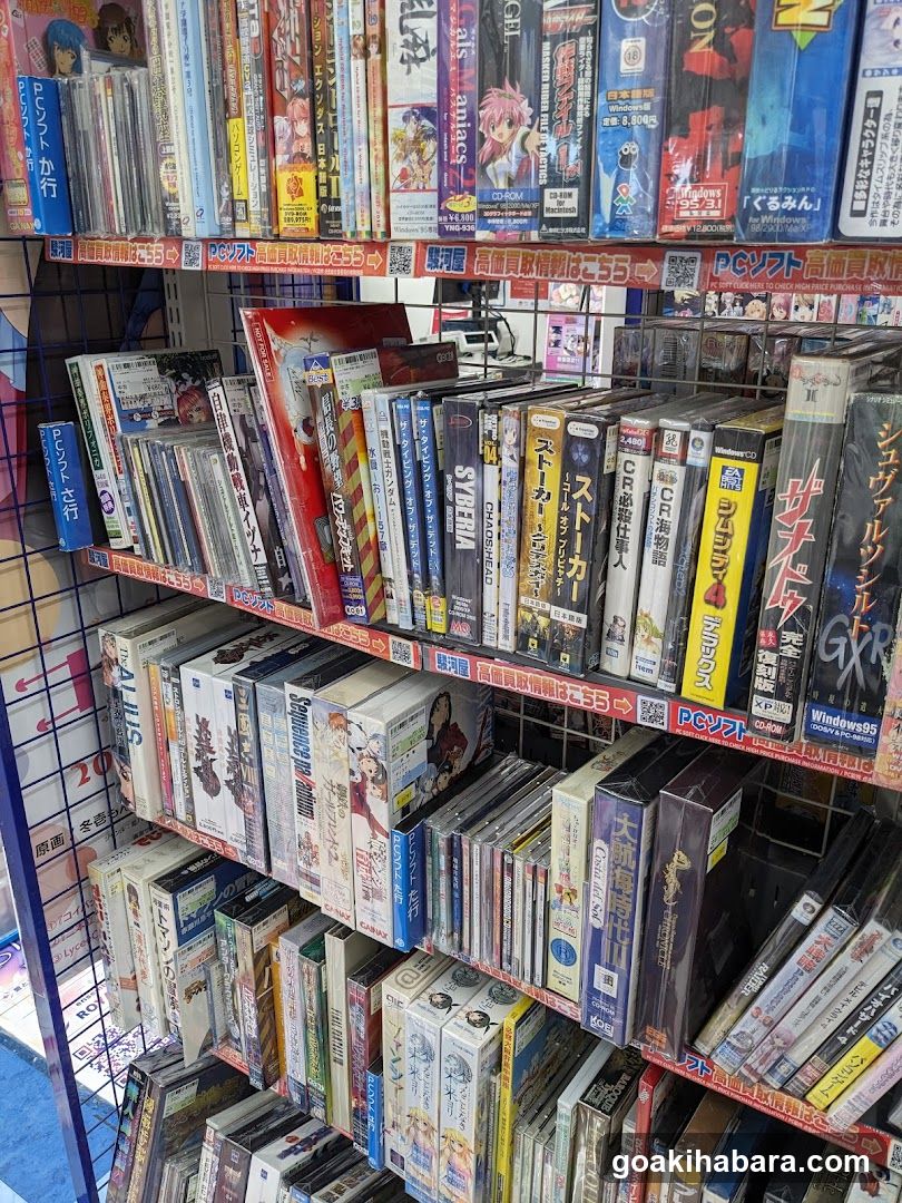 Video Game and DVD Shelf Display