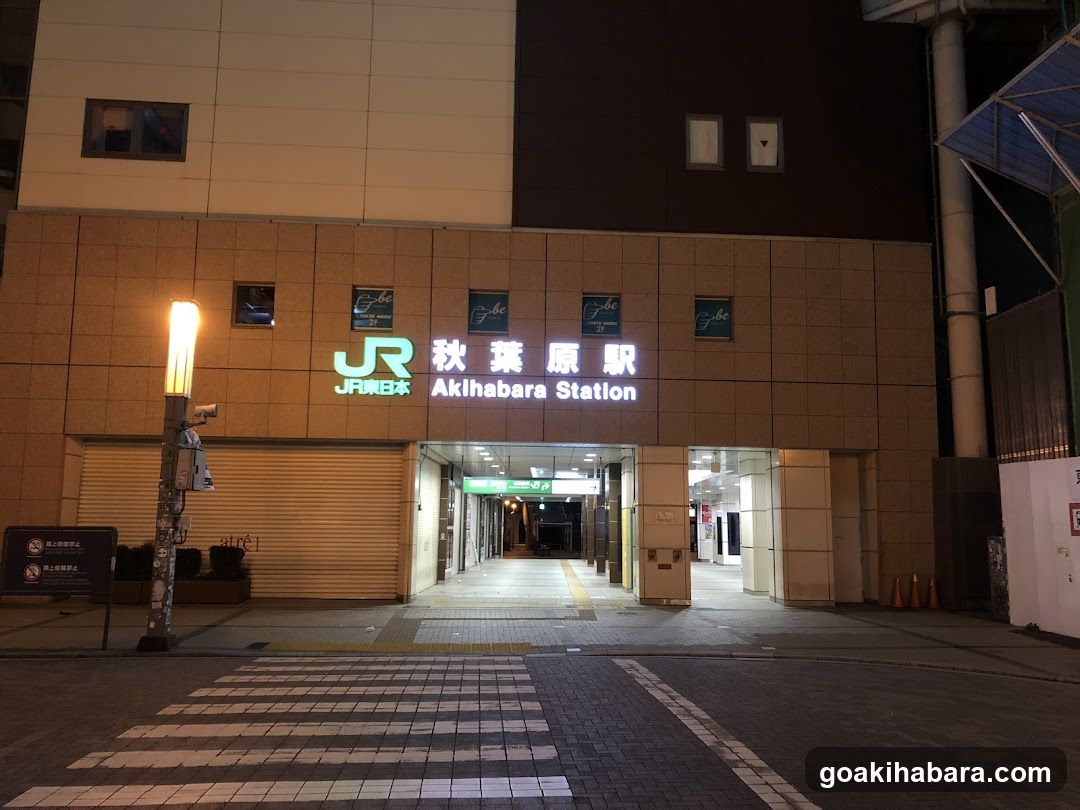 Akihabara Station Entrance at Night