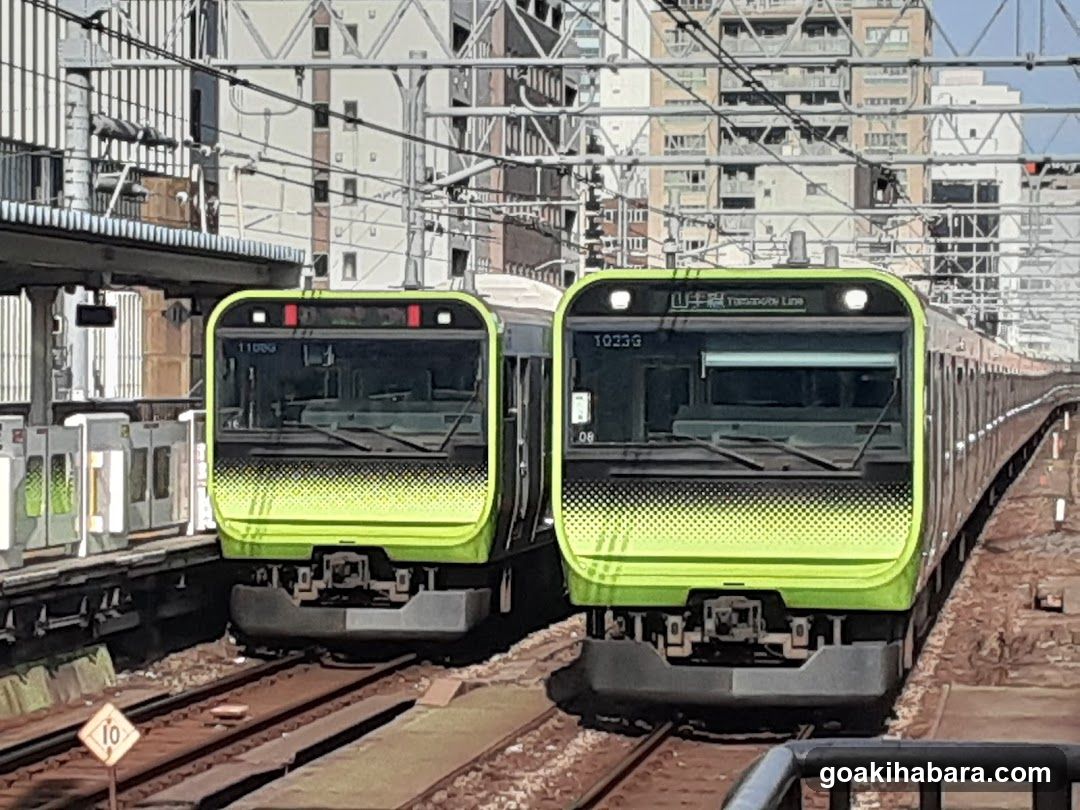 Trains at Station Platform