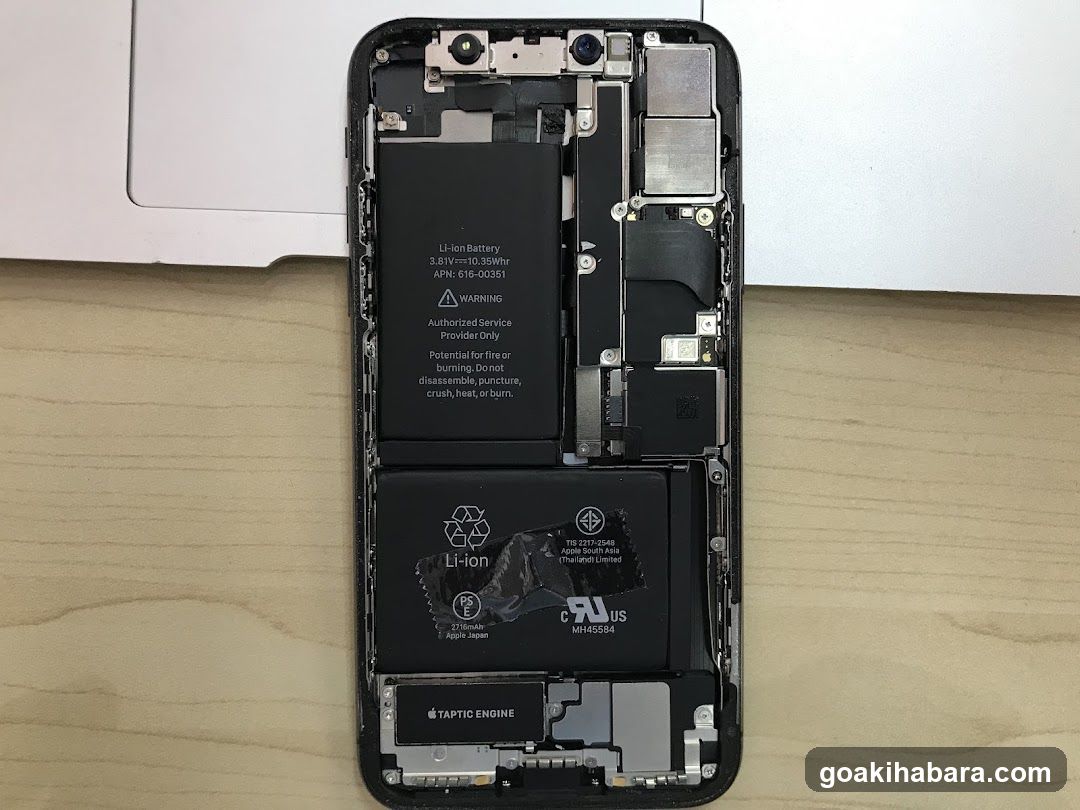 Disassembled iPhone Battery Pack