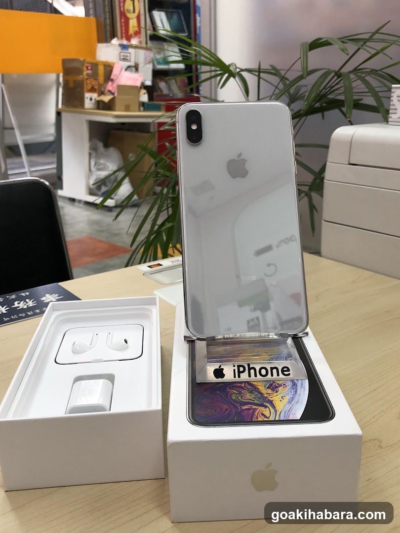 iPhone X in box with accessories