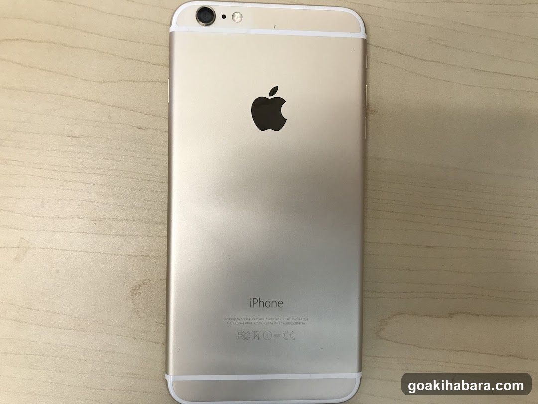 iPhone Back View