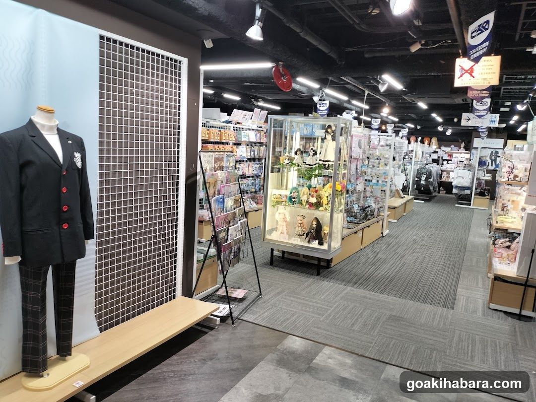 Merchandise Store Interior