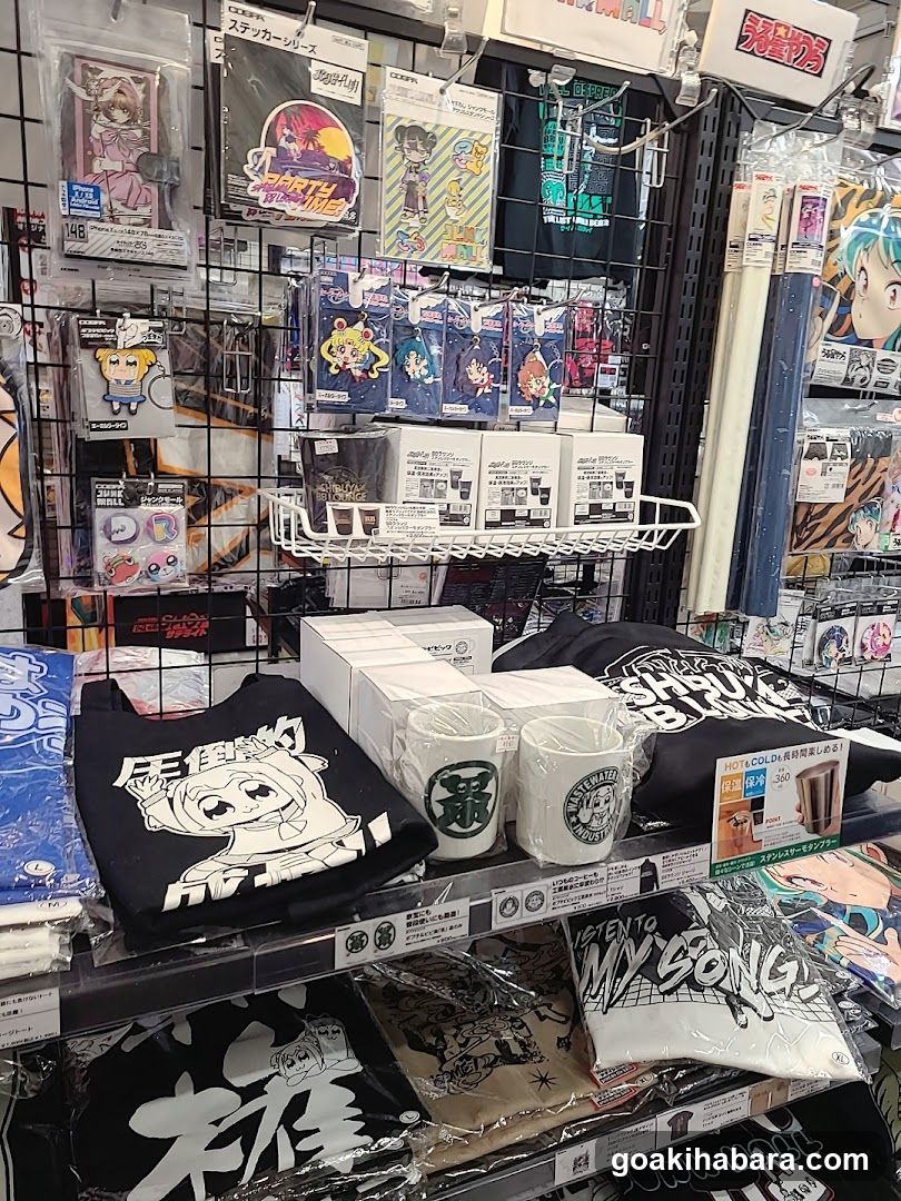 Merchandise Display Shelf