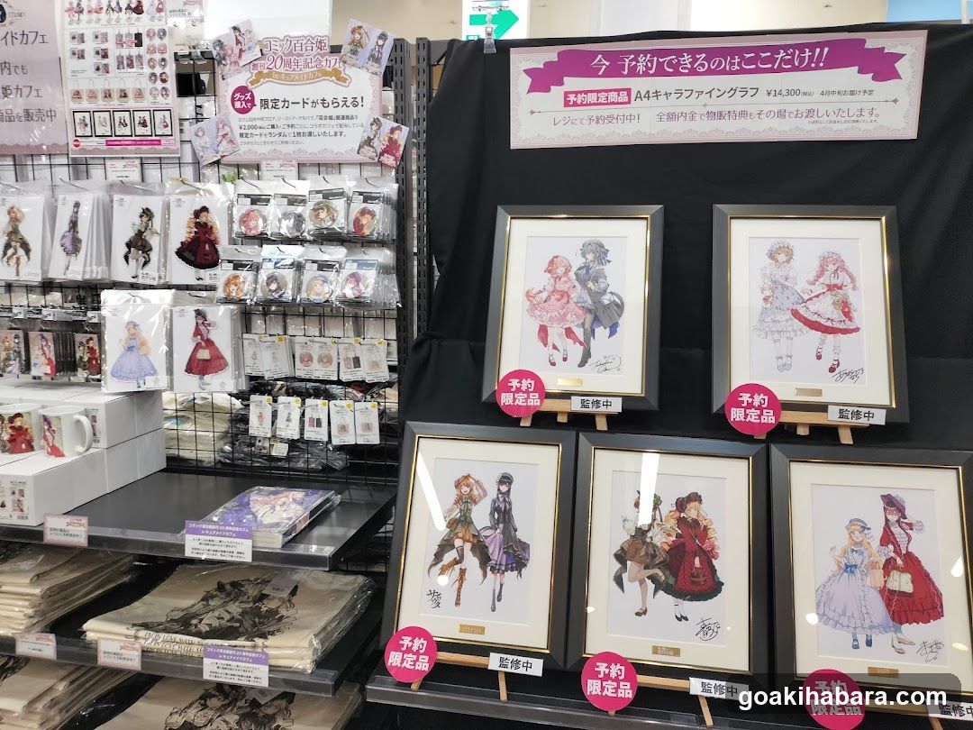 Anime Merchandise Display