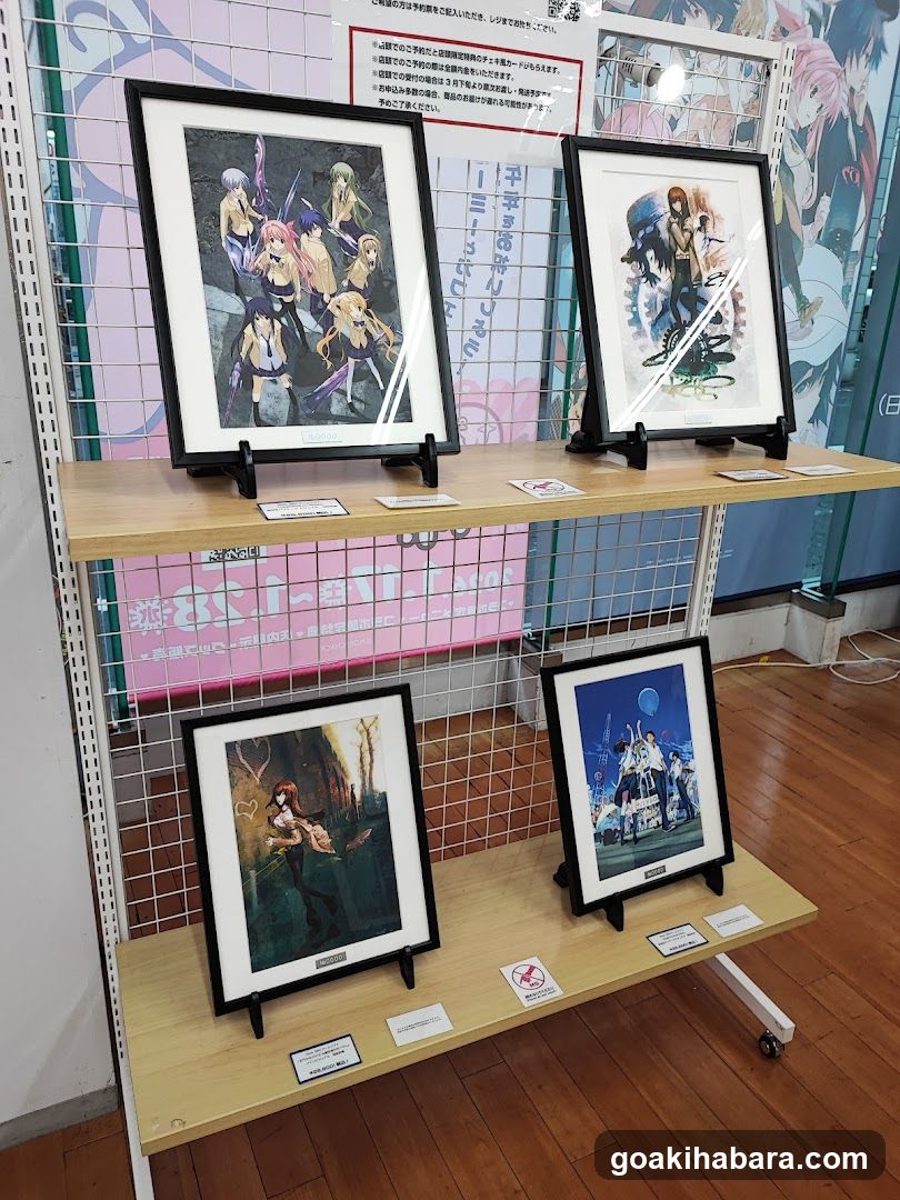 Anime Art Exhibition Display