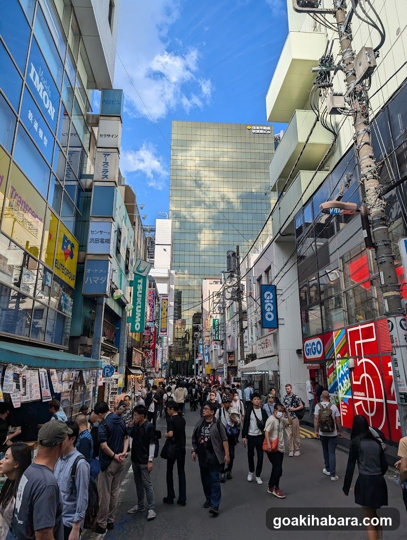 Busy street scene in Japan