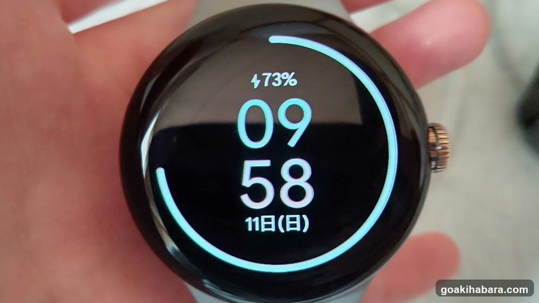 Smartwatch Display