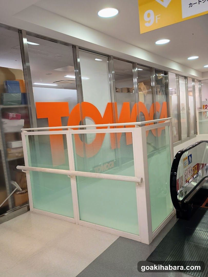 Shopping Mall Interior with Store Entrance