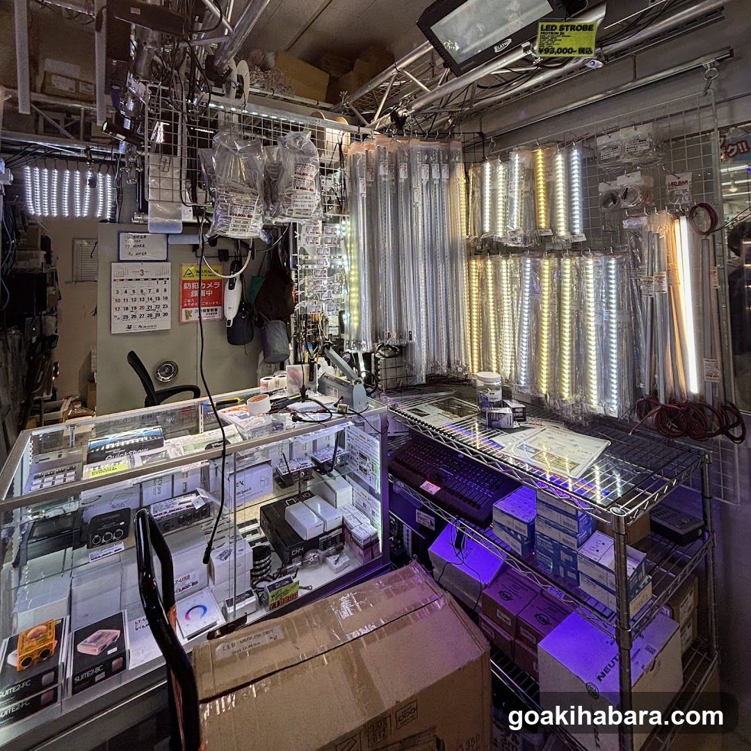 LED Lighting Store Interior