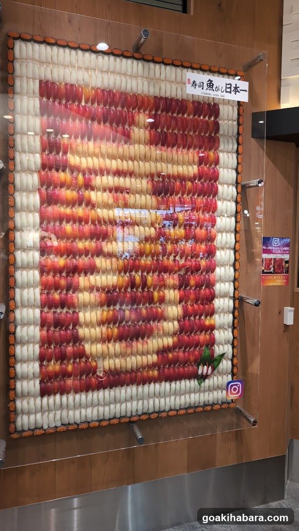 Sushi Display Artwork