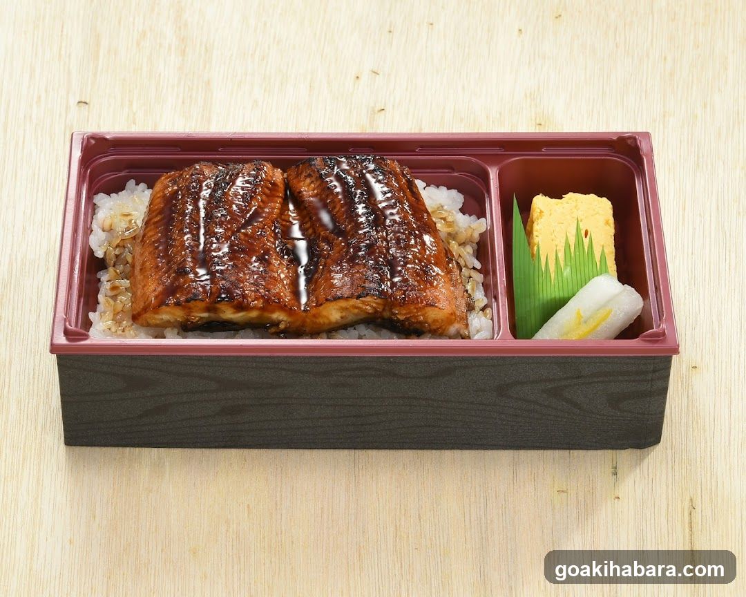 Eel Rice Bowl with Tamagoyaki