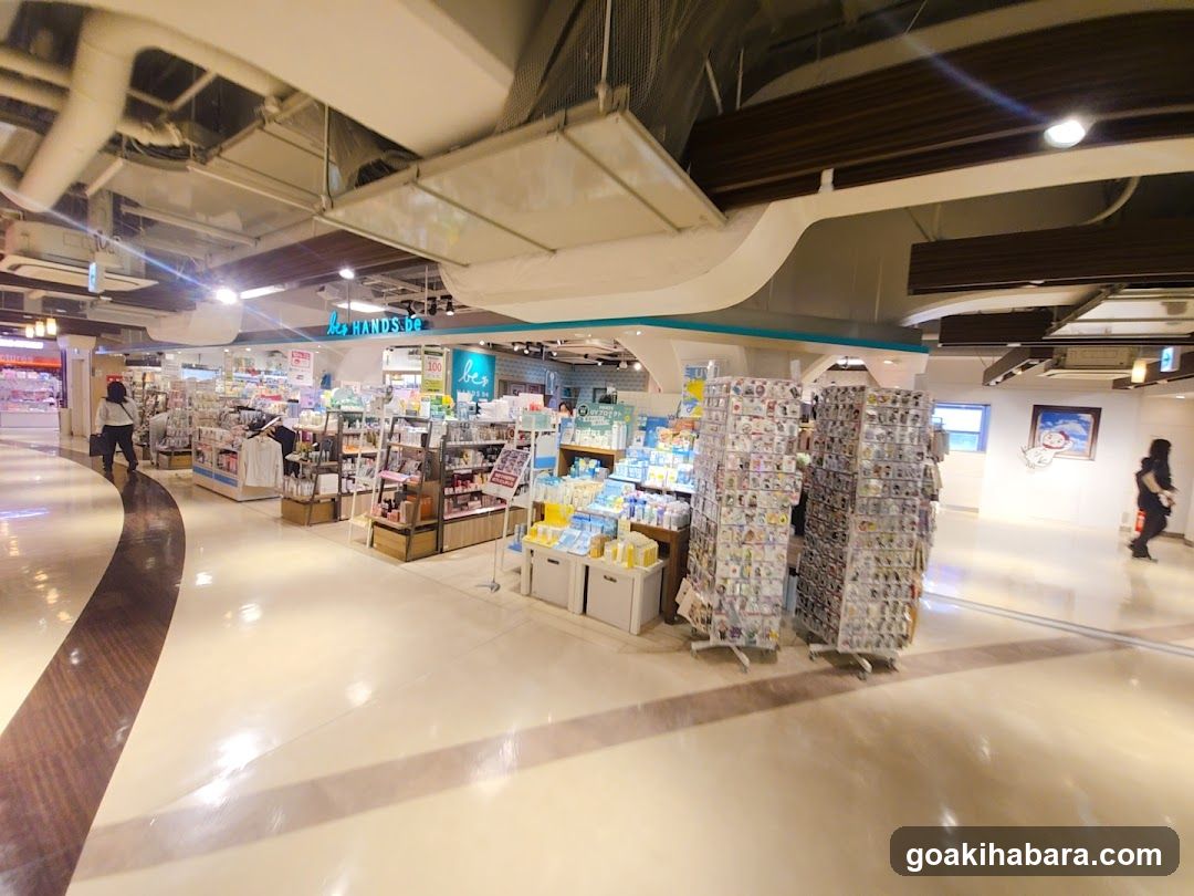 Interior of a retail store with product displays