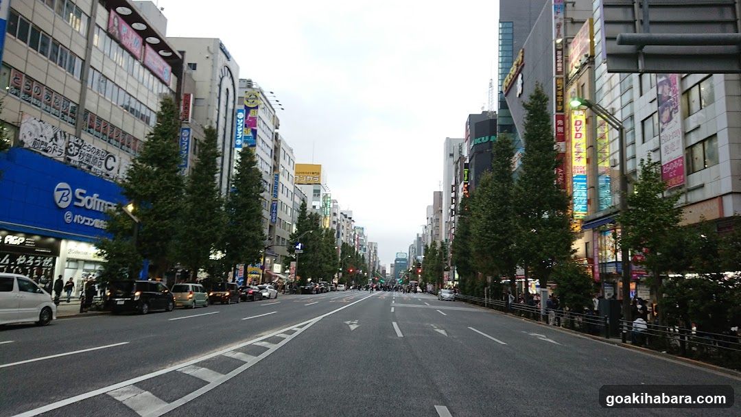 Urban Street Scene with Shops and Trees