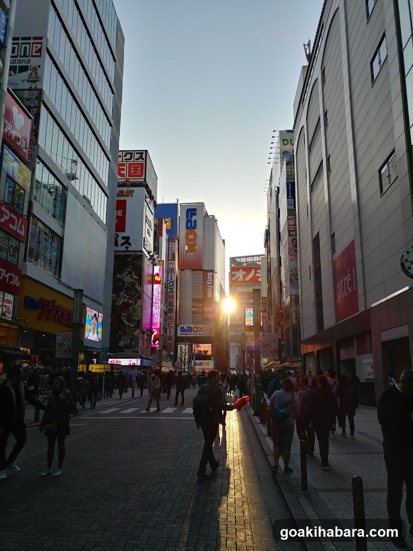 Sunset Street Scene in Japan
