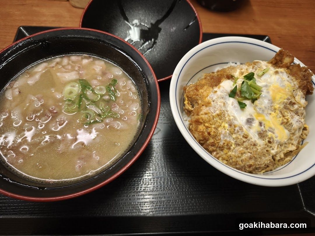 Japanese Meal with Tonkatsu and Soup