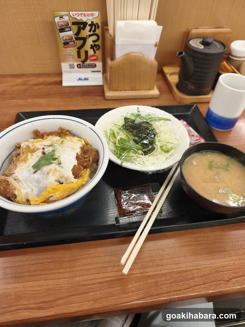 Japanese Meal Tray