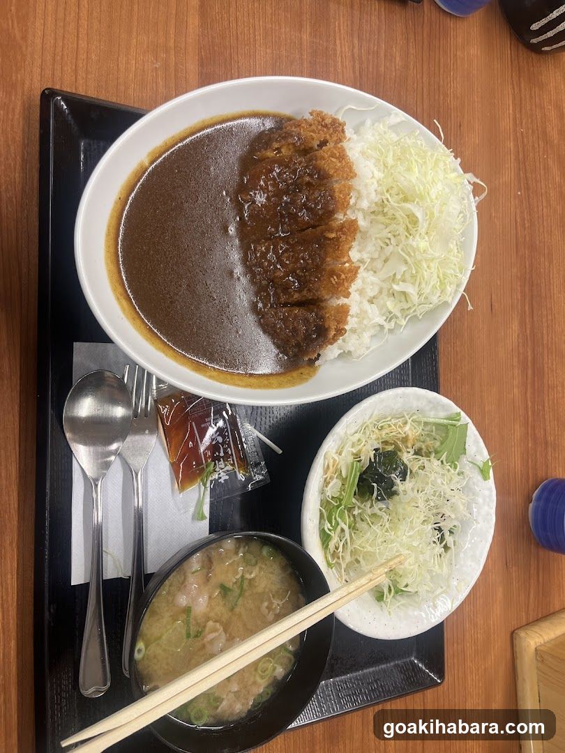 Katsu Curry Meal