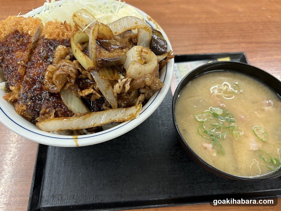 Japanese Meal with Tonkatsu and Miso Soup