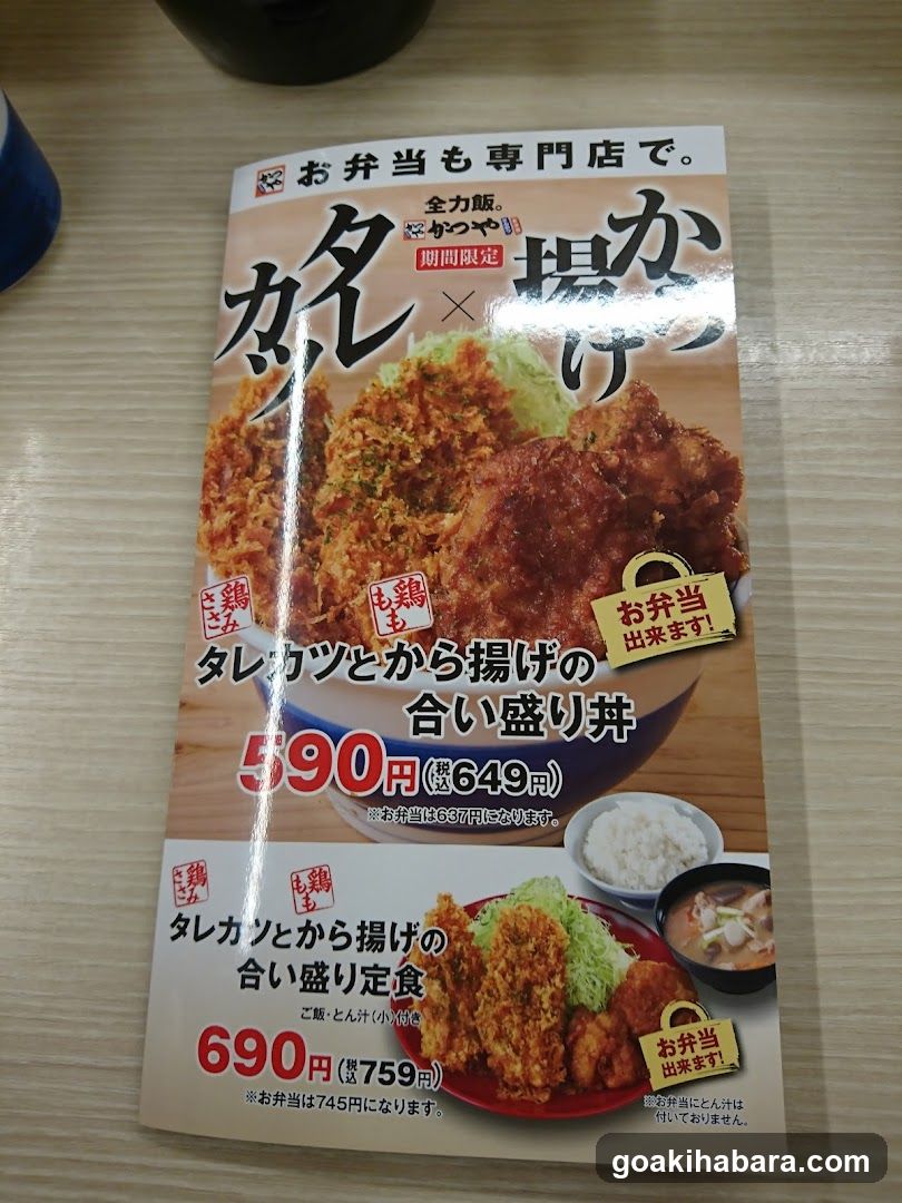 Promotional Flyer