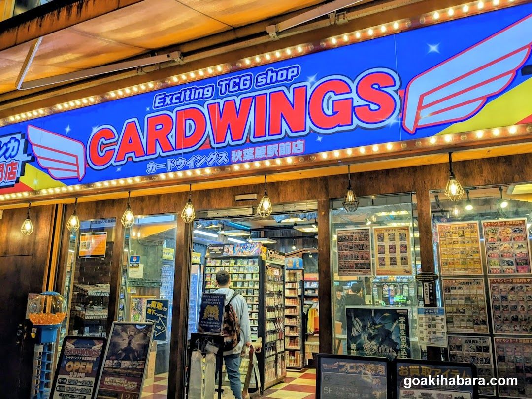 CARD WINGS