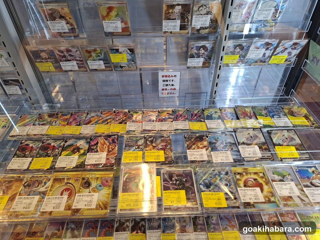 Trading Card Game Display Case