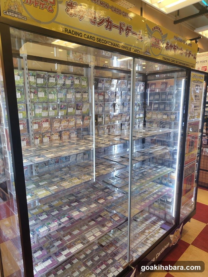 Pokemon Card Display Case