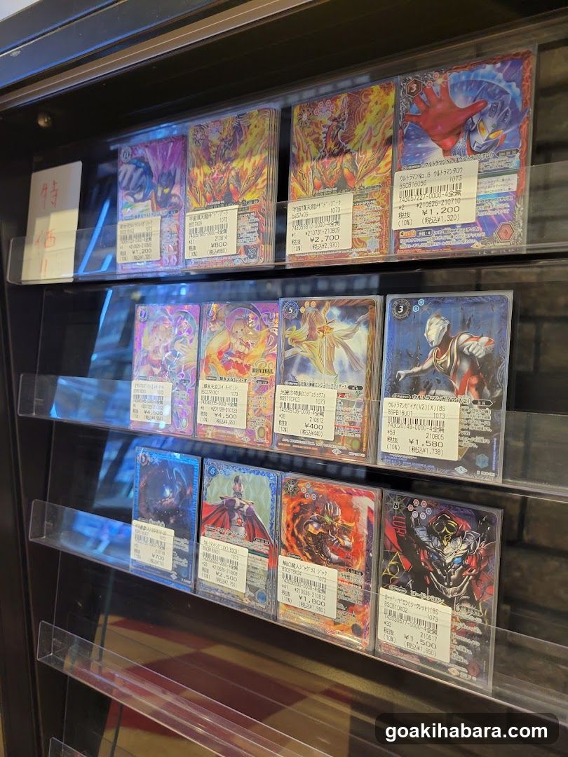 Trading Card Display Case