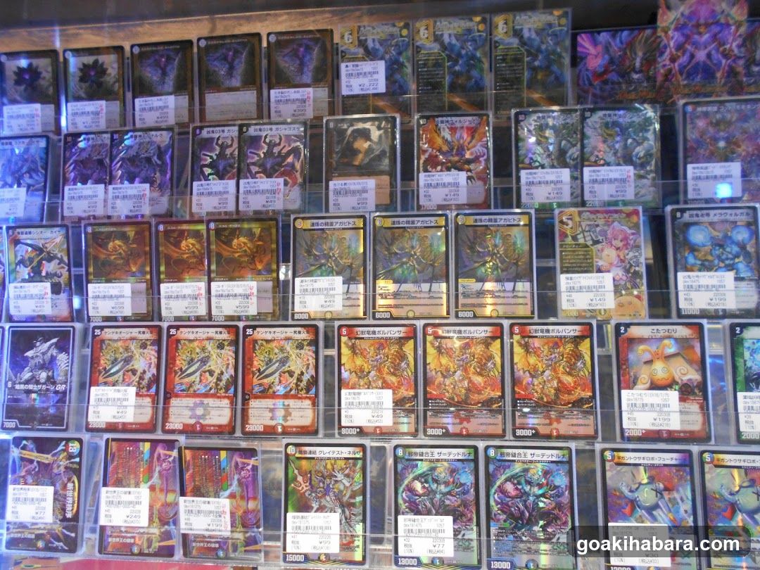 Trading Card Display Case