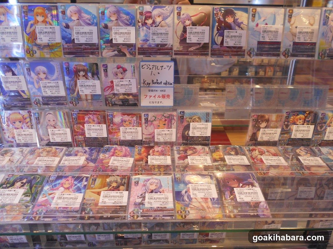 Anime merchandise display case