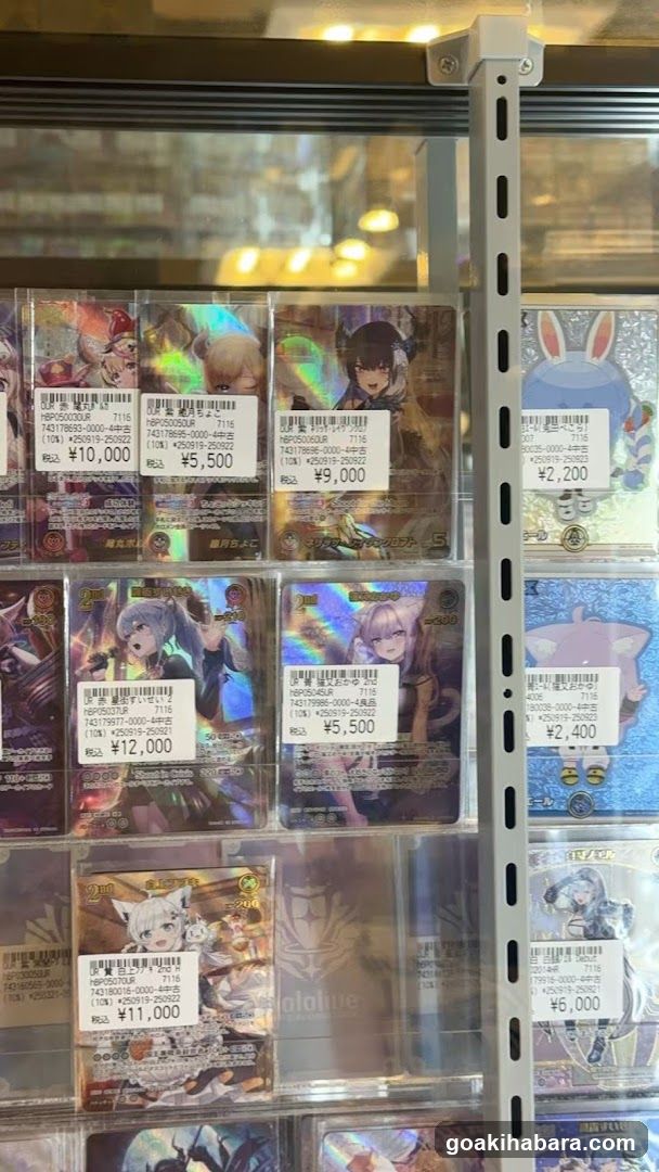 Trading Card Display Case