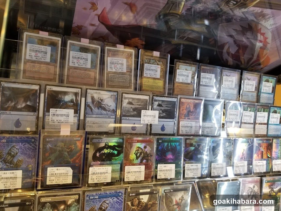 Trading Card Display Case