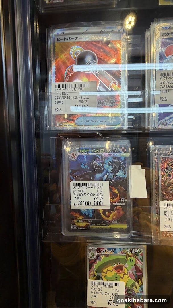 Pokemon Card Display Case