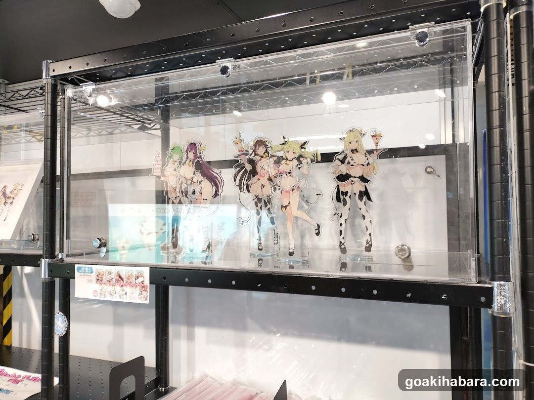 Anime Merchandise Display Case