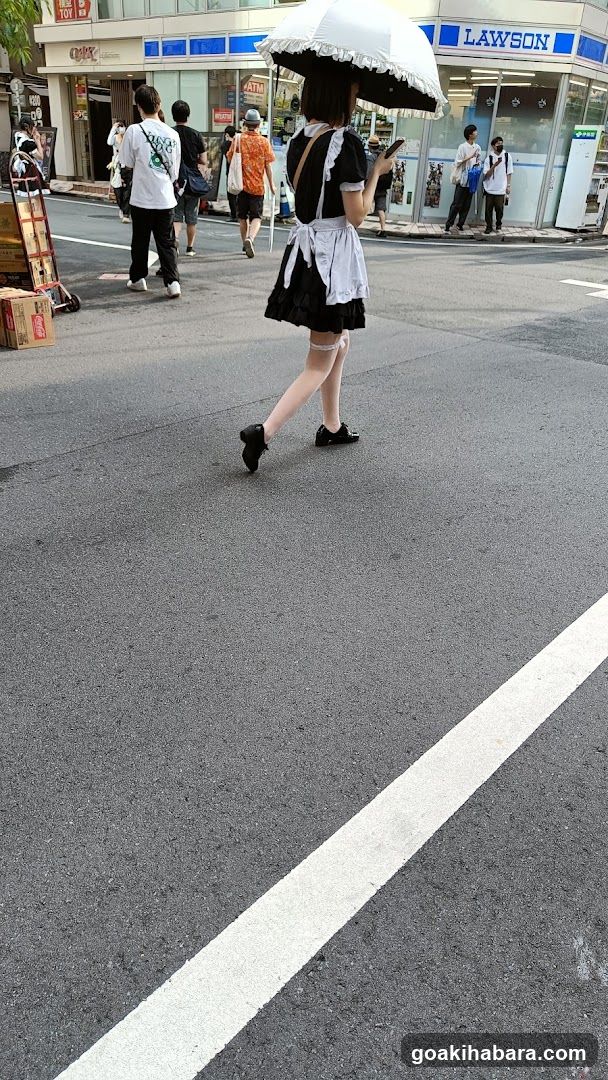 OAK akihabara