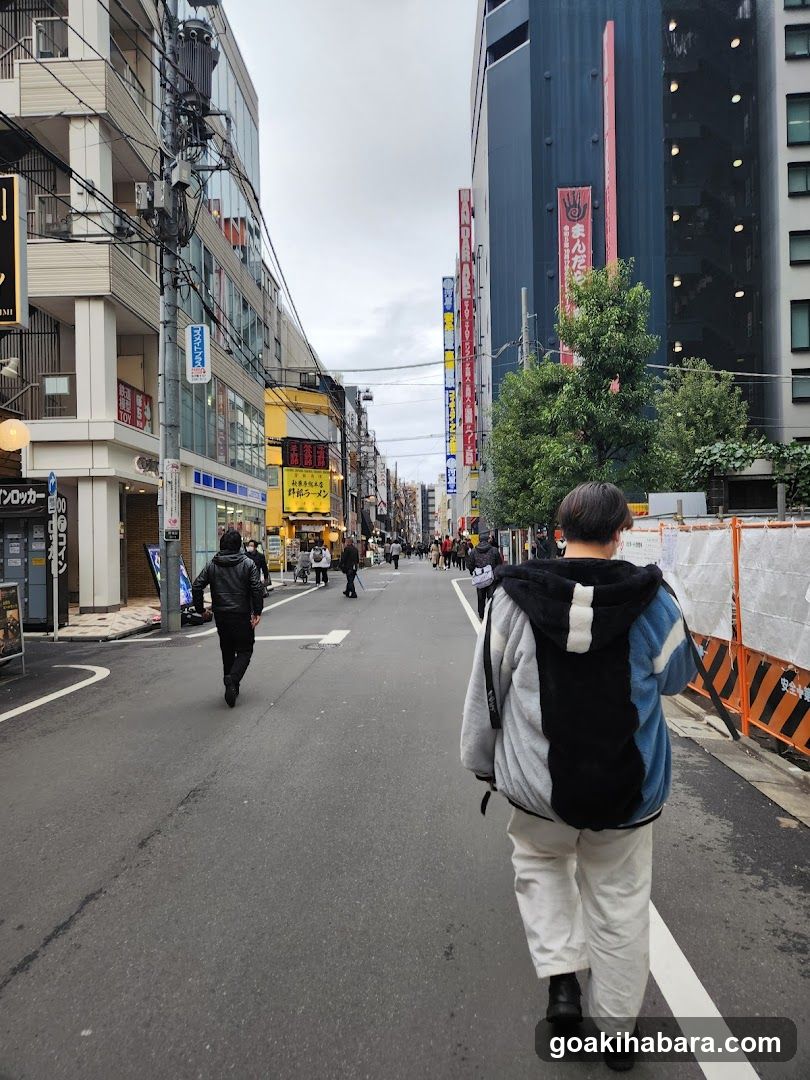 Street scene in Japan