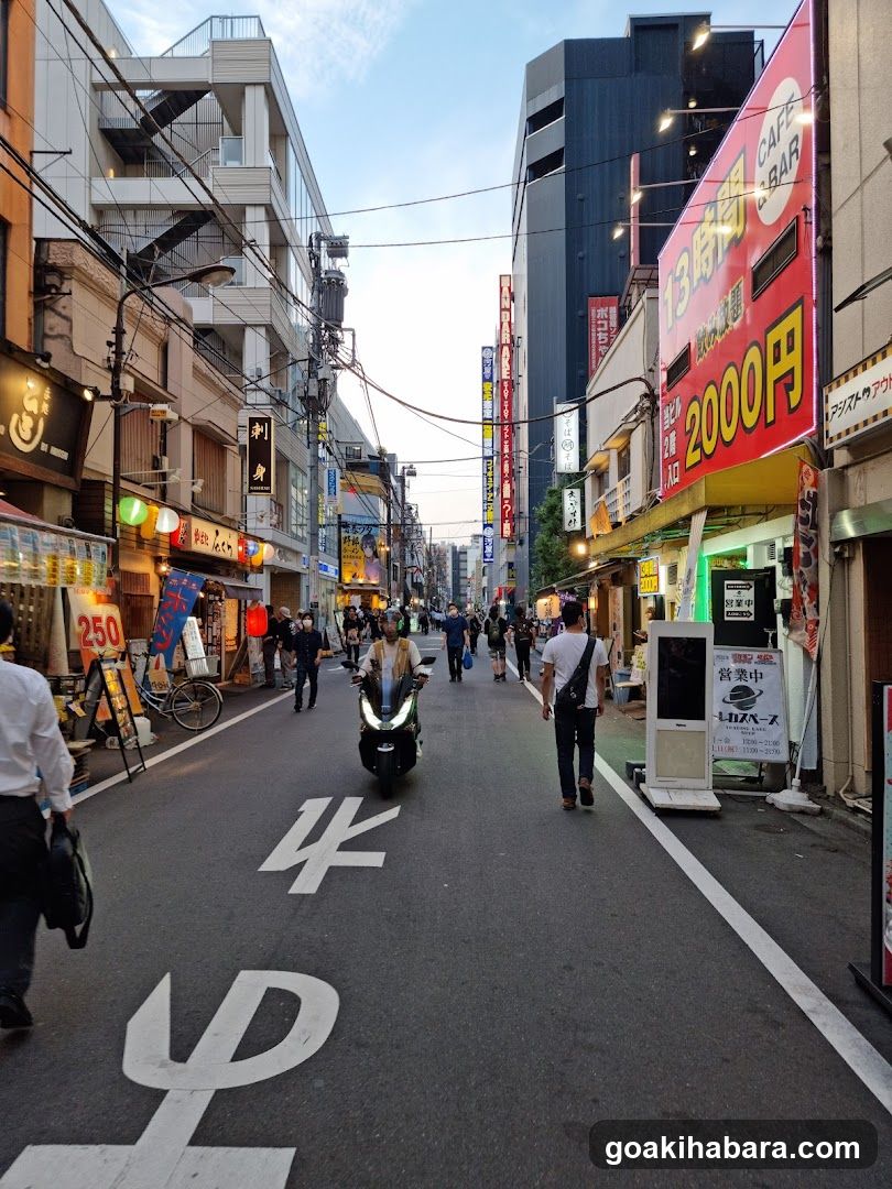 Busy Japanese Street at Dusk