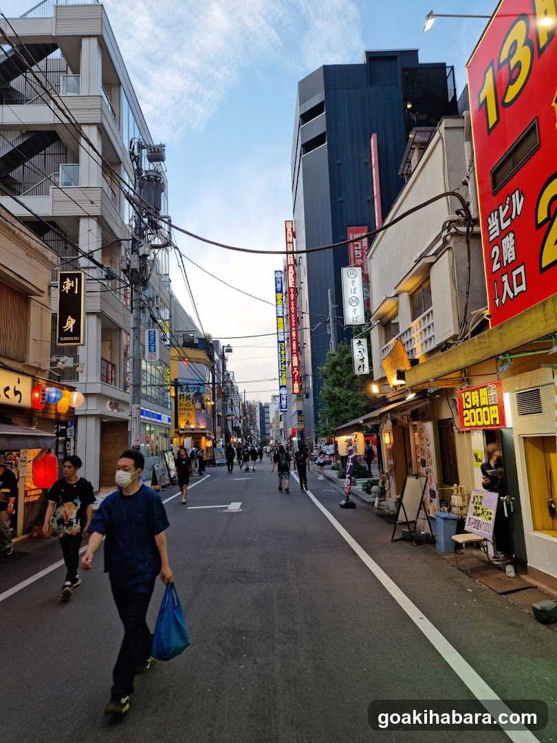 Evening Street Scene in Japan