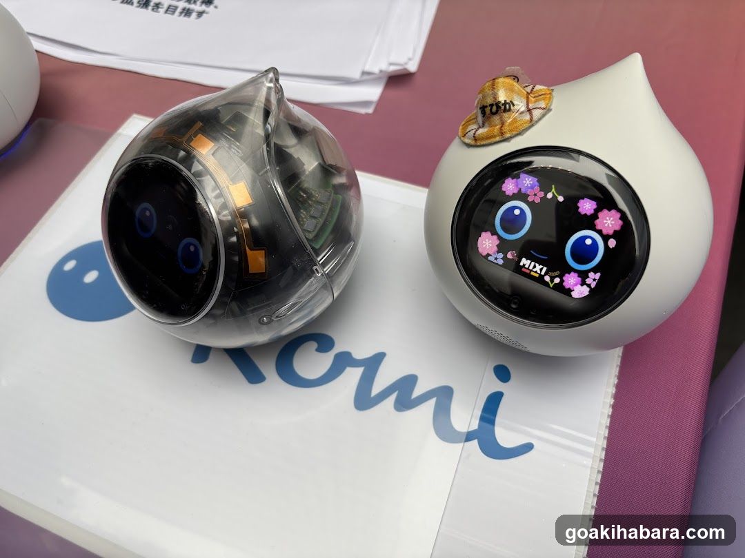 Nomi Robot Display